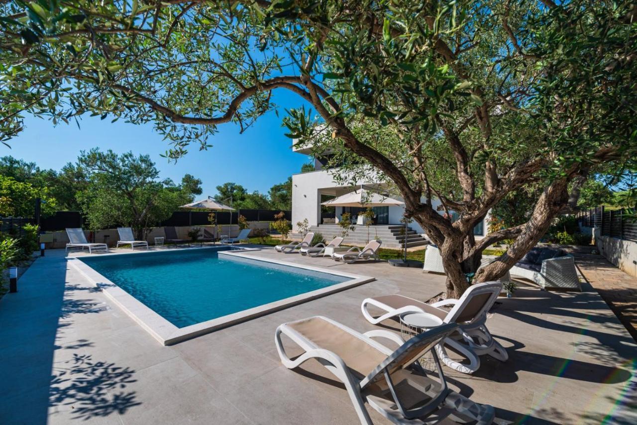 Crowonder Sun Dance Apartments With Heated Swimming Pool Seaview And Garden Sveti Filip i Jakov Extérieur photo